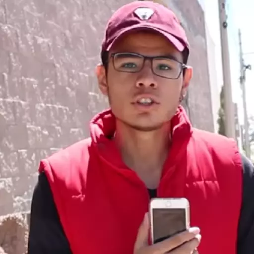 Se subio aqui, y tomo la foto [Meme]