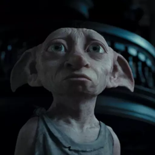 Dobby
