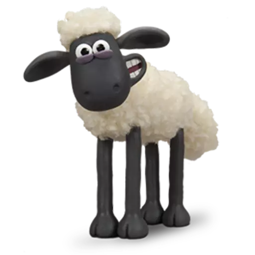 Shaun