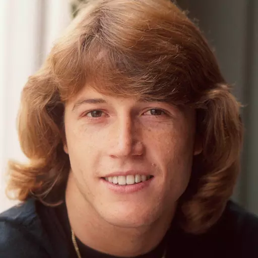 Andy Gibb