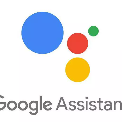 Google Assistant