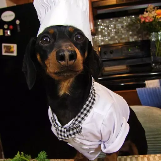 Chef Crusoe