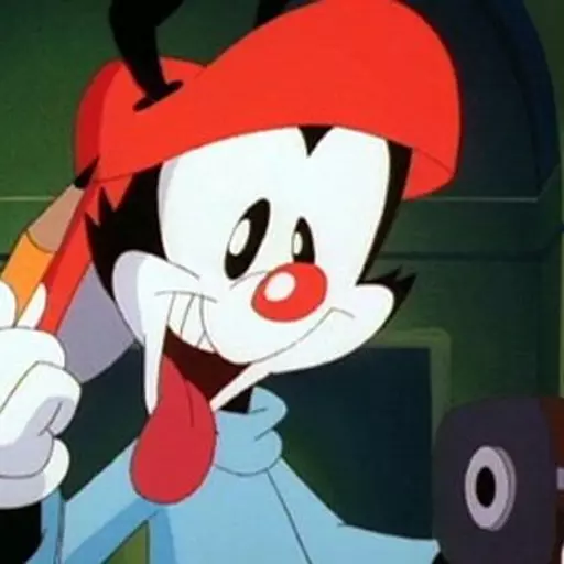 Wakko